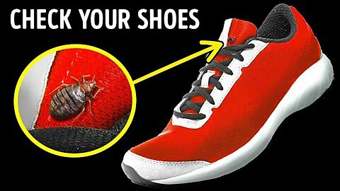Bed Bugs Have a Thing for Shoes + 13 Facts About Scents