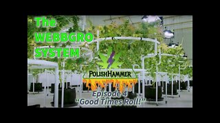 WebbGro System Ep.4 "Good Times Roll" 🕸🌲👽🔨 #WEBBGRO #NORTHGENETICS #MAC1 #SPIDERFARMER #420