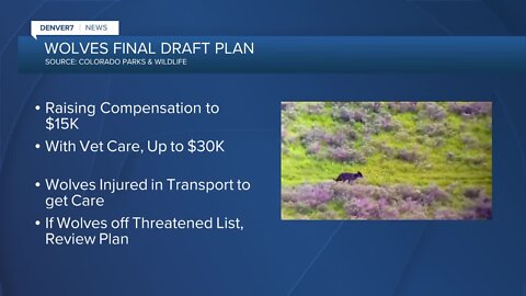 Wolves in Colorado: CPW looking at final draft plan