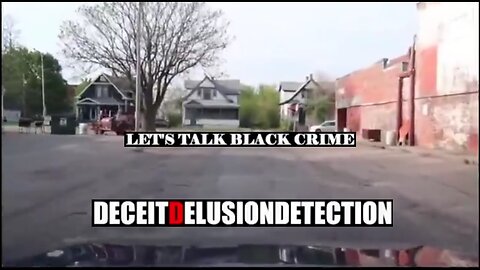 Black on White Crime Report 55 Deceit Delusion Detection