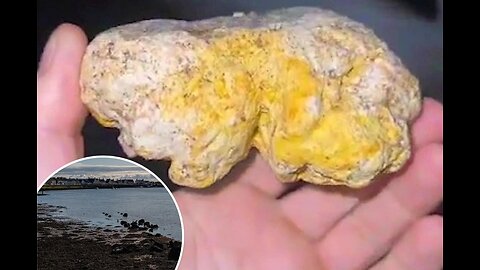 Fisherman's dog finds whale vomit possibly worth millions: 'Treasure of the sea'