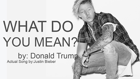 What Do You Mean By: Donald Trump