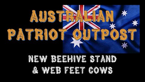 Sustainable Life 02 - Beehive & Web Feet Cows