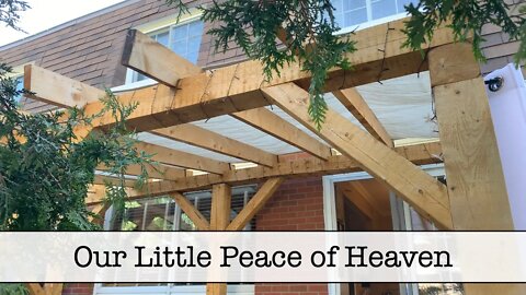 Timbre Frame Pergola Updates