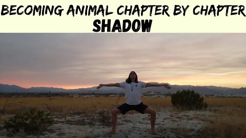 Shadow - Becoming Animal - David Abram - Spiritual Ecology Course