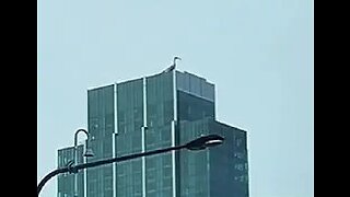 Avian-Cryptid Recorded on Chicago High-Rise