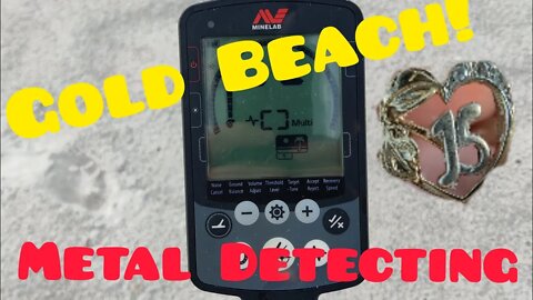 Gold at the Beach • Metal Detecting Equinox 600 • What is Hiding in The Sand?