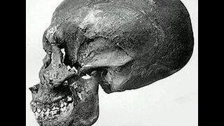 Elongated Pharaoh Skulls and Hollywood