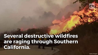 Cali Gov Says "Nature Is Not Political," Then Blames Trump for Fires