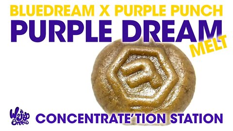 Moroccan Melt Purple Dream Hash Melt Review (Blue Dream X Purple Punch) - Concentrate'tion Station