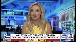 Kayleigh McEnany reacts to Elon Musk calling Elizabeth Warren 'Senator Karen'