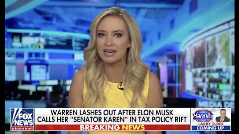 Kayleigh McEnany reacts to Elon Musk calling Elizabeth Warren 'Senator Karen'