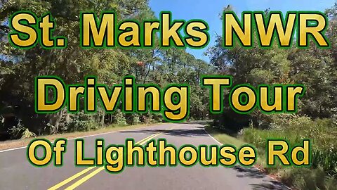 St Marks NWR Driving Tour of Lighthouse Road