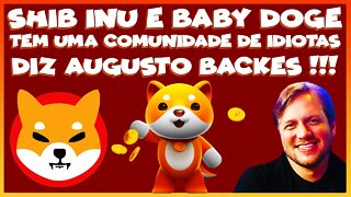 SHIB INU E BABY DOGECOIN TEM UMA COMUNIDADE DE IDIOTAS DIZ AUGUSTO BACKES !!!