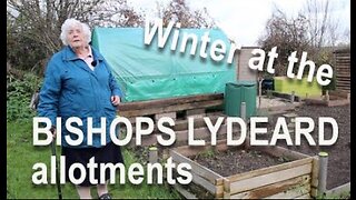 Winter at Bishops Lydeard allotments Somerset UK 2019