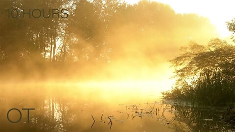 Fog on the Water | Atmospheric Nature Sounds for Sleeping | Relaxation | Studying | Outdoor Ambience