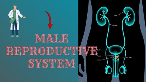 💫Healing and Rehabilitation of the Male Reproductive System 💫The Solution for every Problem💫