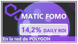 MATICFOMO español 🤑🤑 un 14% ROI diario