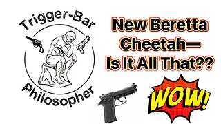 New Beretta Cheetah, is it all that??