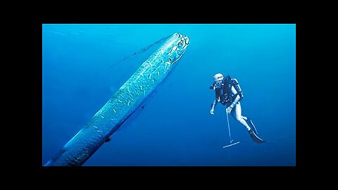 Oarfish | This Legendary Fish That Announces Tsunamis