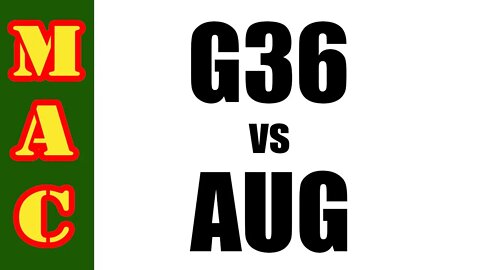 Best Infantry Rifle: G36 vs AUG
