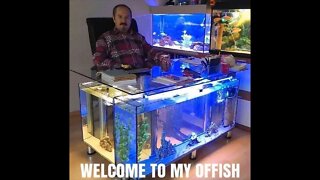 Tips and tricks in Breeding 1000’s of fish made EASY!!!