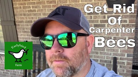 How To Get Rid Of Carpenter Bees Naturally