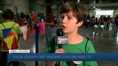 Tulsa County 3rd graders explore insects