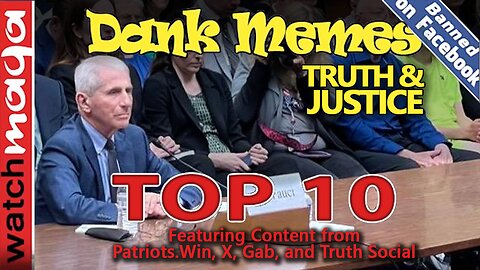 Truth & Justice: TOP 10 MEMES