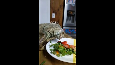 Someone likes Strawberries