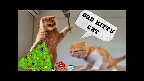 Funniest Animals of 2023 😂 Funny Cats and Dogs viral video #funnydogs #funnycats #funnyanimals #cats