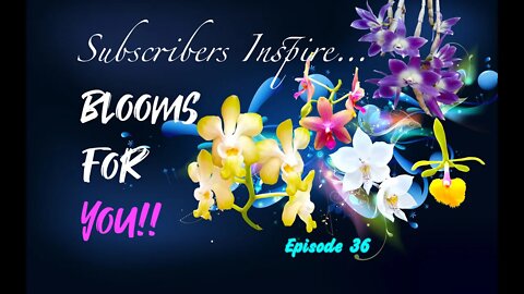 SUBSCRIBERS INSPIRE| You color my life | Blooms for YOU! Episode 36 🌸🌺🌼💐#Orchids #OrchidsinBloom