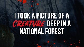 I Took A Picture of A Creature Deep in A National Forest - Creepypasta