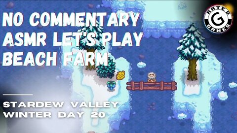 Stardew Valley No Commentary - Family Friendly Lets Play on Nintendo Switch - Winter Day 20