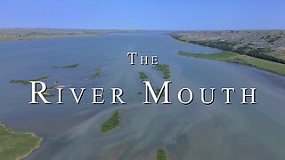 The River Mouth | 4K Scenic Short Film