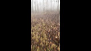 12/18/2023 -🚶‍♀️Stepping out and getting lost on this extremely foggy 🌫️ Sunday Morning !