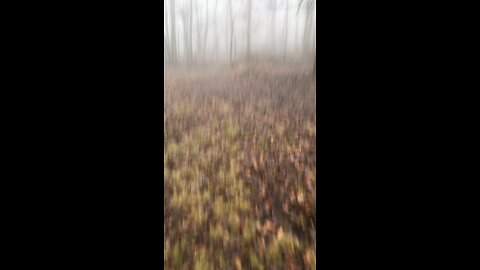 12/18/2023 -🚶‍♀️Stepping out and getting lost on this extremely foggy 🌫️ Sunday Morning !
