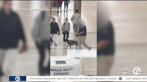 TSA dog handler removed after video shows him pulling, dragging K-9