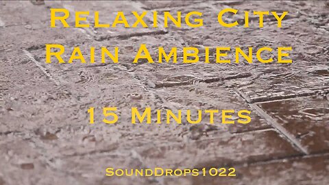 Metropolitan Rain Symphony: 15 Minutes of Ambient Rain on Concrete