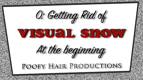 0: Getting rid of Visual Snow, At the Beginning. Poofy Hair Productions