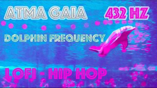 DOLPHIN FREQUENCY - DOLPHIN RELAXATION & MEDITATION MUSIC - 432 HZ LOFI HIP HOP - BINAURAL BEATS