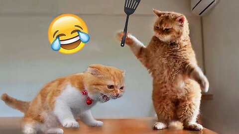 Funny animal videos 😂 Cute animal 😸 Funny Dog and Cat videos 😁 Hilarious pet videos 😸 Part 180