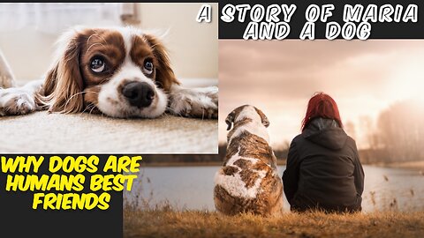 why dogs are humans best friends | A Story of Maria and a Dog | Best Dogs Video