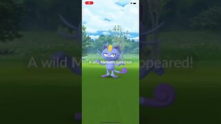 Shiny Alolan Meowth