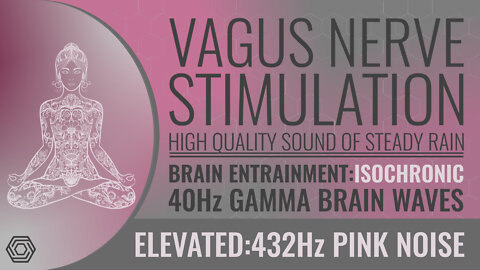 Vagus Nerve Stimulation Isochronic 40Hz Anxiety Hunger Depression Weight Gain Inflammation