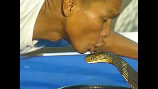 Guy Kisses 19 King Cobras