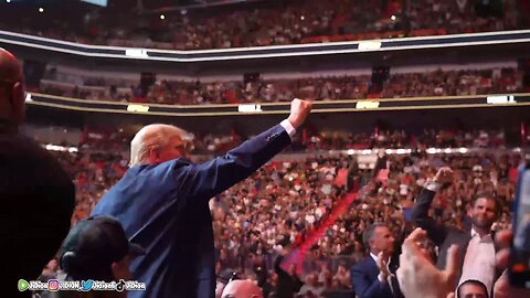 THAT'S WHAT I CALL SUPPORT (TRUMP AT UFC)