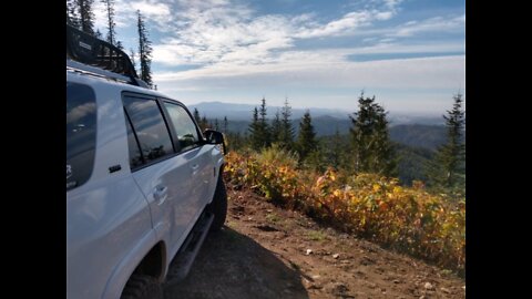 Relaxing Fall drive over the Palouse Divide.