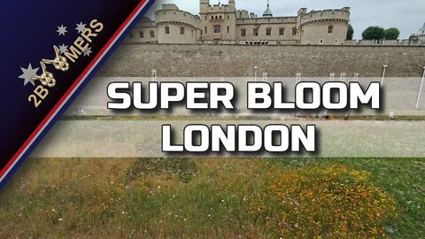SUPER BLOOM IN LONDON JULY 2022