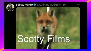 SWEET - FOX ON THE RUN - BY SCOTTY FILMS 💯🔥🔥🔥🙏✝️🙏